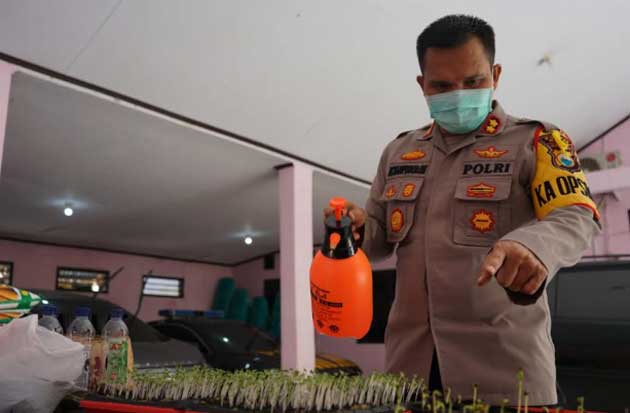 Dukung Ketahanan Pangan,...