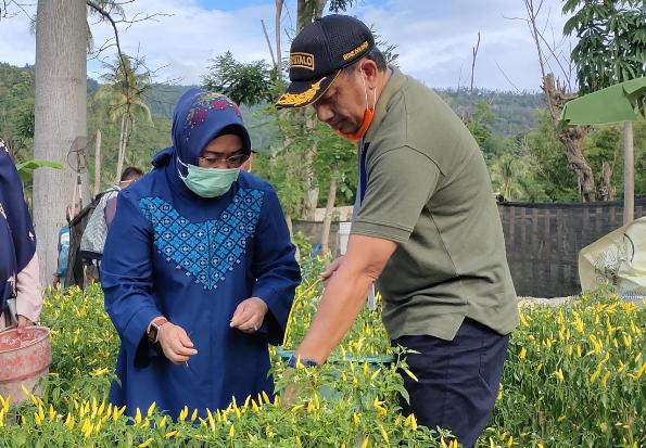 Konsep Rumahku-Kebunku...