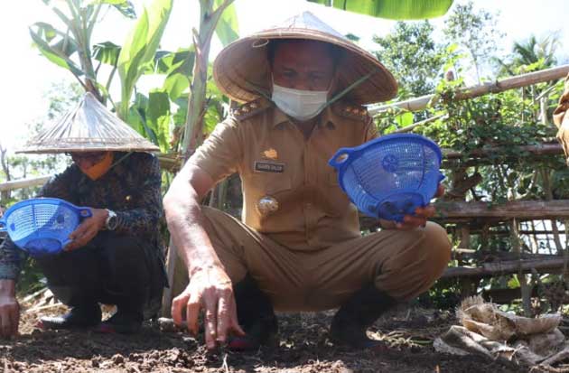 Bupati Barru Genjot...