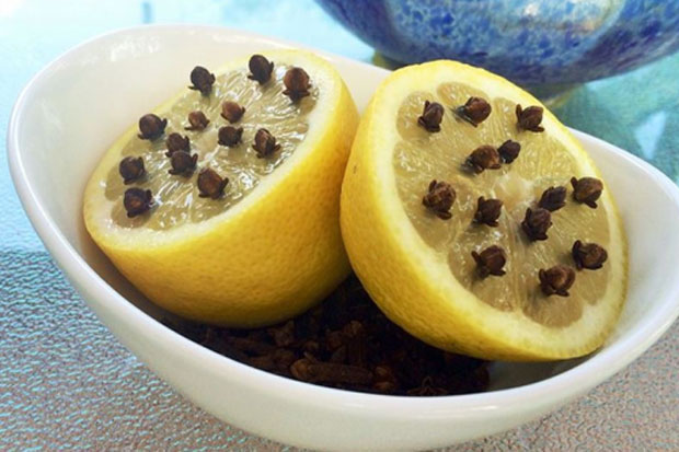 Tusuk Lemon dengan Cengkih,...