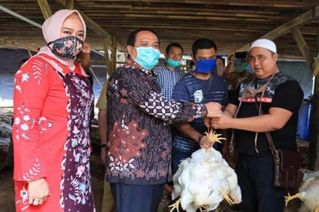 Peternak Ayam di Pangandaran...