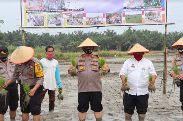Perkuat Ketahanan Pangan,...