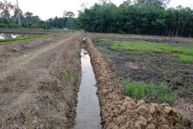 Kementan Tingkatkan...
