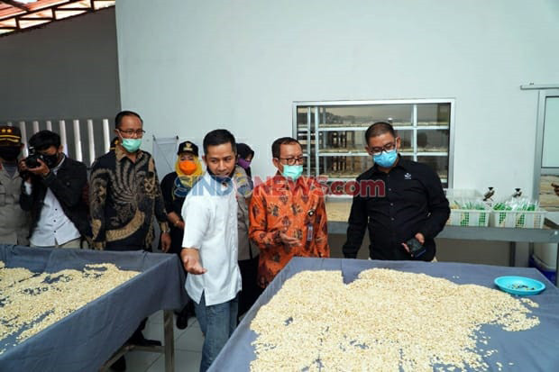 Indonesia Halal Watch...