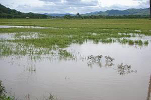 Banjir Bandang Terjang...