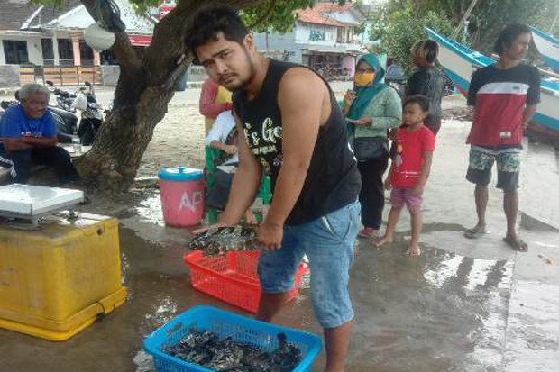 Tulang Ikan King Cobia...