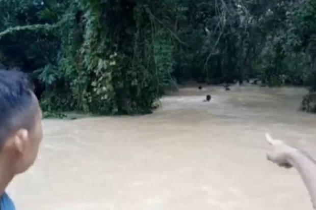 Nekat Lewati Banjir,...