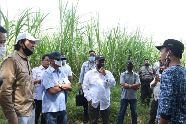 BKPM Tertarik Kembangkan...
