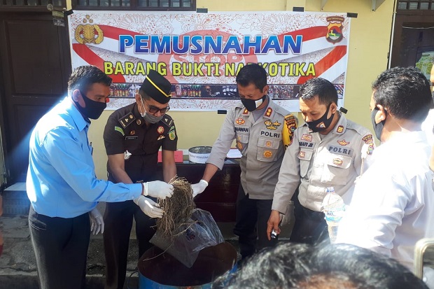 Polres Bima Musnahkan...
