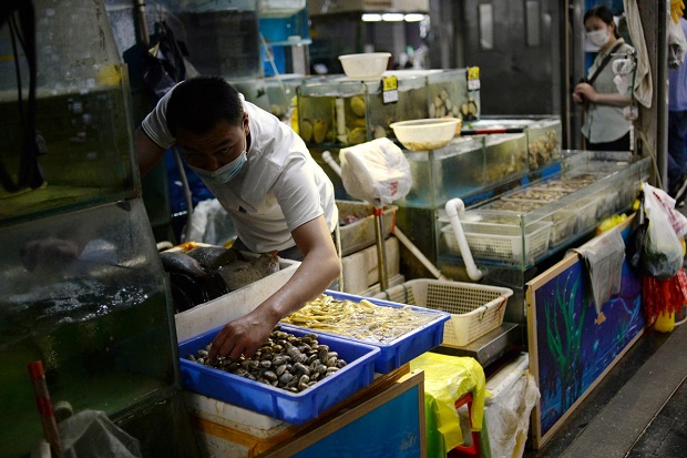 China Temukan Banyak...