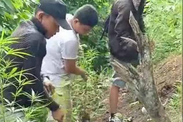 Polisi Temukan Ladang...