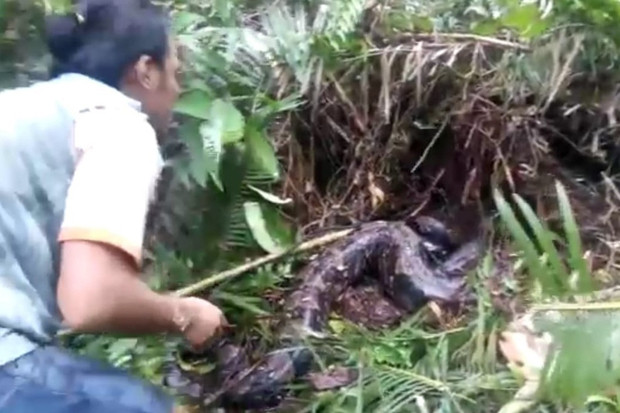 Seorang Warga Lubuklinggau...