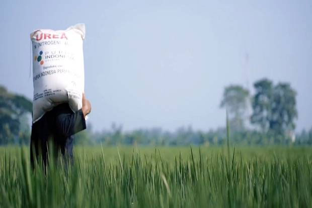 Petani di Kabupaten...