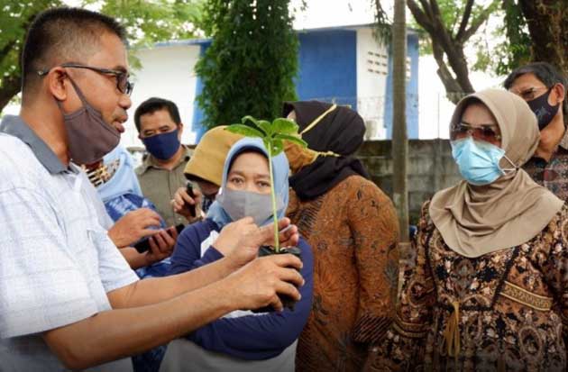 Bernilai Ekonomi Tinggi,...