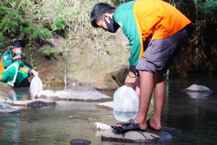 Nyaris Punah, Relawan...