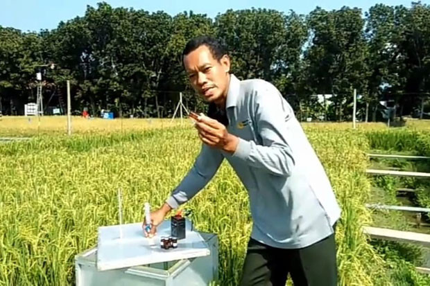 SIMURP Ajarkan Petani...