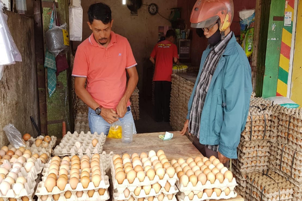 Harga Telur Ayam Melambung...