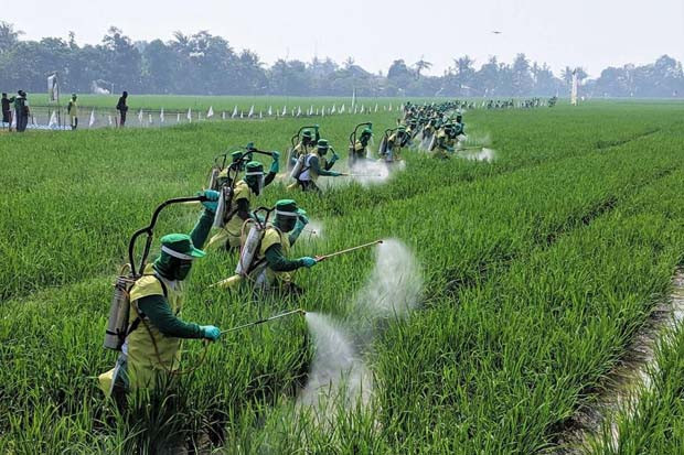 Airlangga Anggap Kalteng...