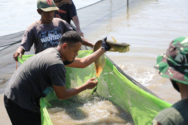 Melongok Bisnis Ikan...