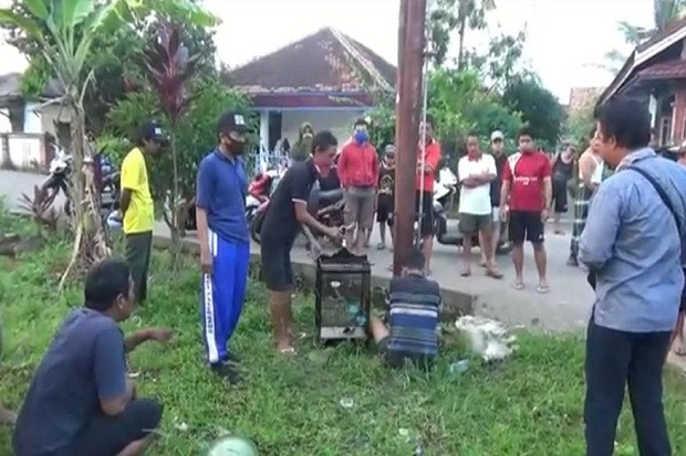 Kasihan, Burung Kesayangan...