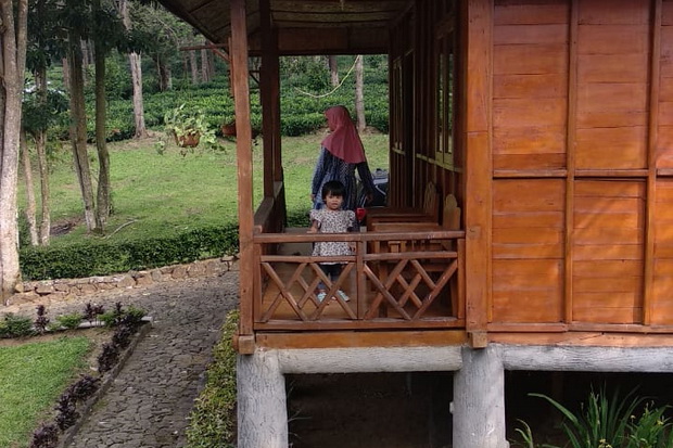 Sambut New Normal, Agrowisata...