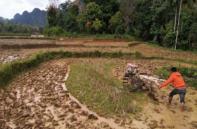 Petani dan Penyuluh...