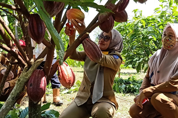 Indah Bertekad Kembalikan...