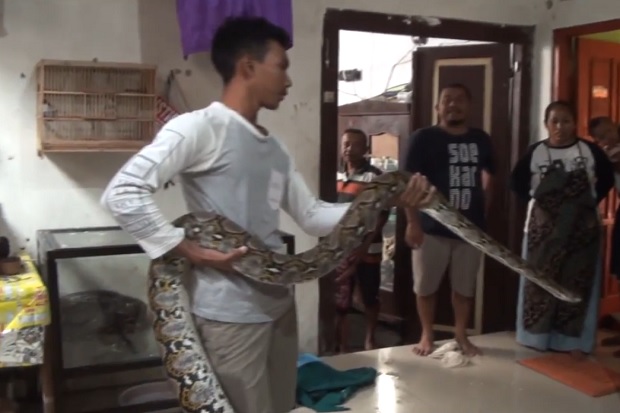 Bapak dan Anak di Mojokerto...