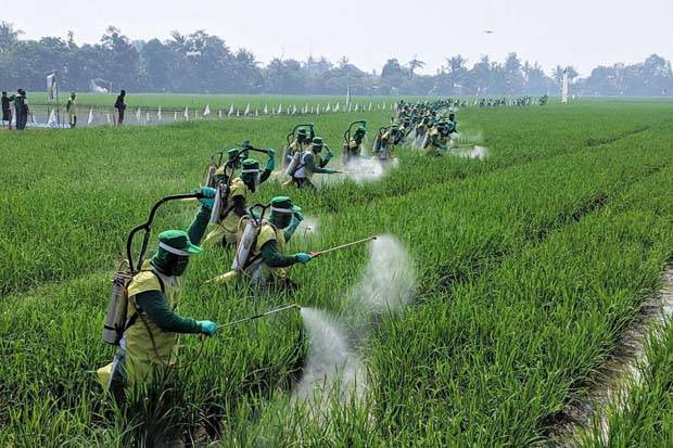 Kemendagri Desak Pemda...