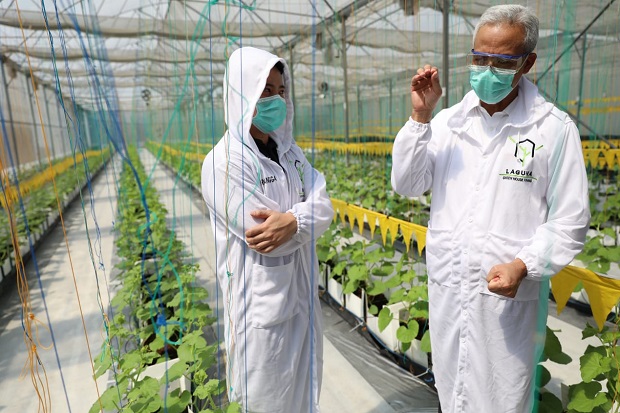Petani Muda Kreatif,...
