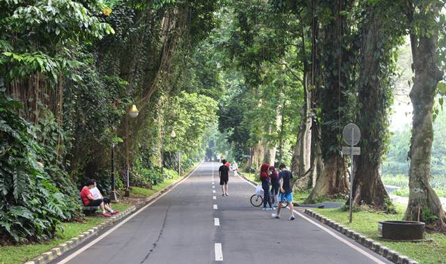 Mau Sepedaan? Ini Rekomendasi...