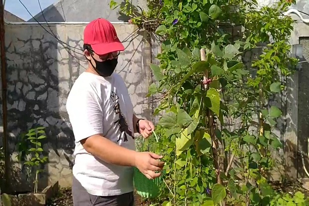 Racikan Bunga Telang,...