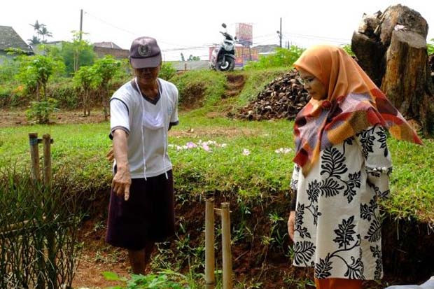Pertanian Dinilai Jadi...