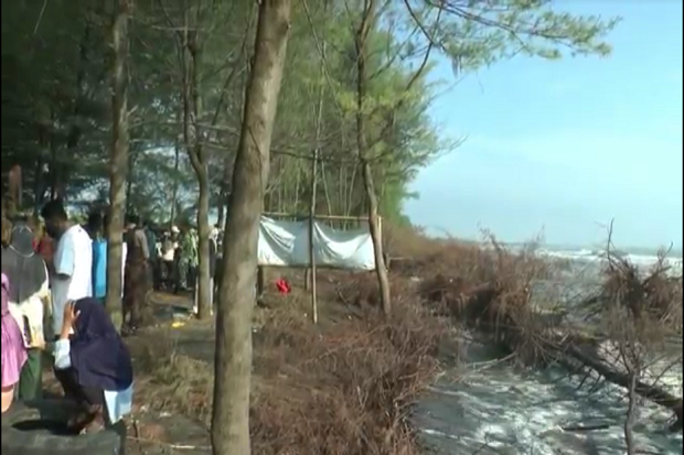 Hutan Cemara Pantai...