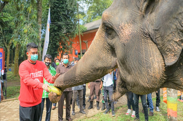 Medan Zoo Dibuka Lagi,...