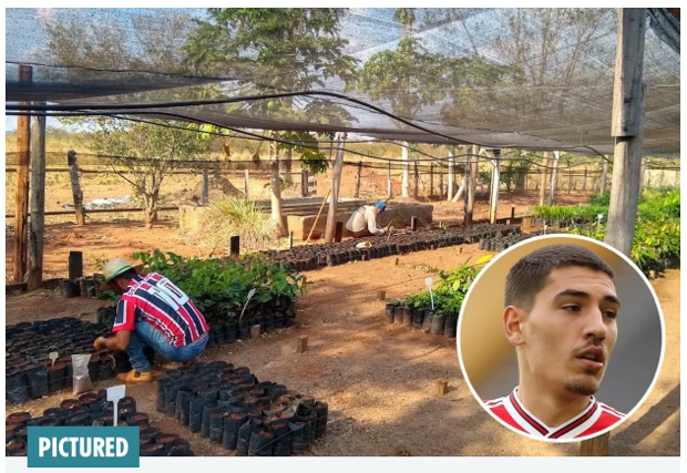 Bellerin Tanam 3.000...