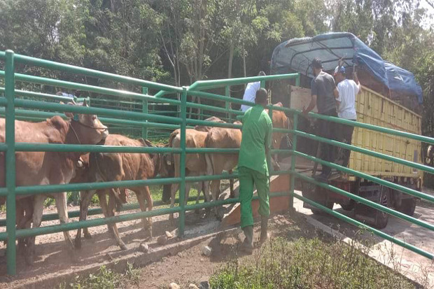 Kementan Distribusikan...