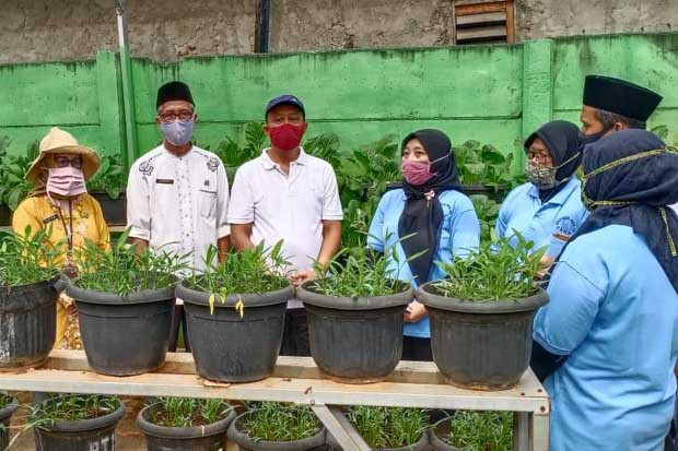 Warga Sunter Agung Panen...