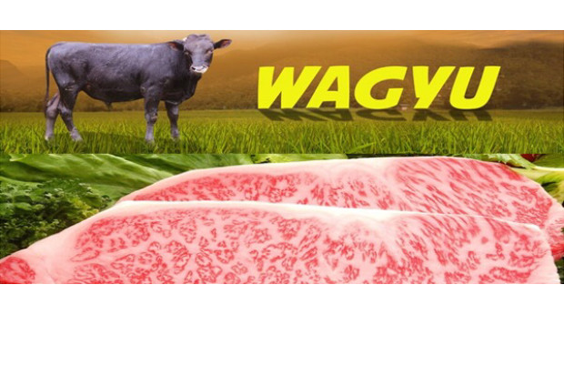 Kementan: Sapi Wagyu...