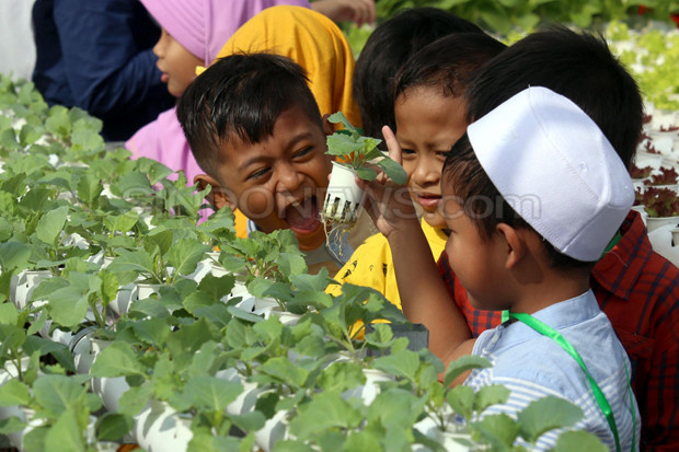Spirit Agraris Kaum...