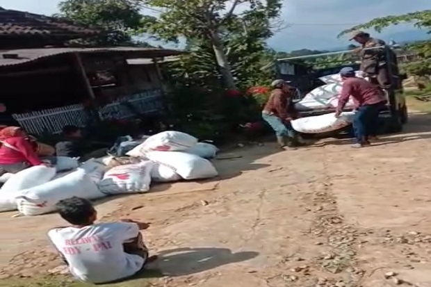 Tega, Rentenir Ini Rampas...