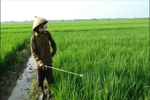 Pupuk Langka, Petani...