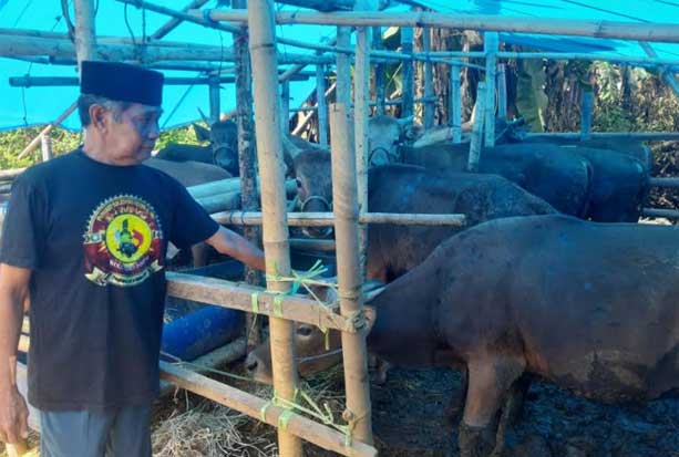 Penjual Hewan Kurban...