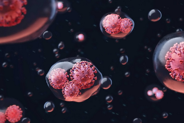 Transmisi Virus SARS-CoV-2...