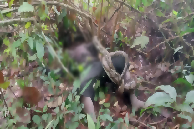 Berburu ke Hutan, Suku...