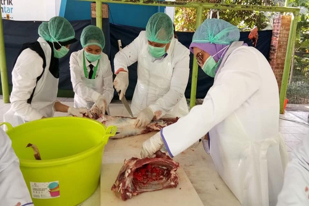 Kementan Atur Pelaksanaan...
