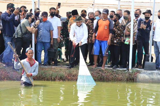Hindari Permainan Harga,...