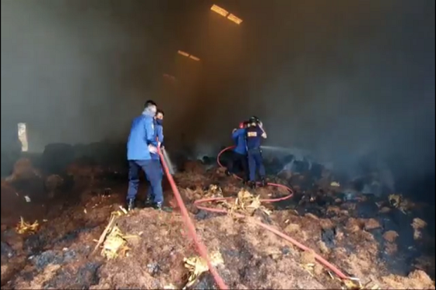 Tumpukan Tembakau Dalam...