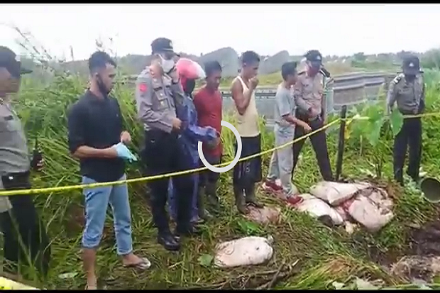 Warga Mempawah Geger,...