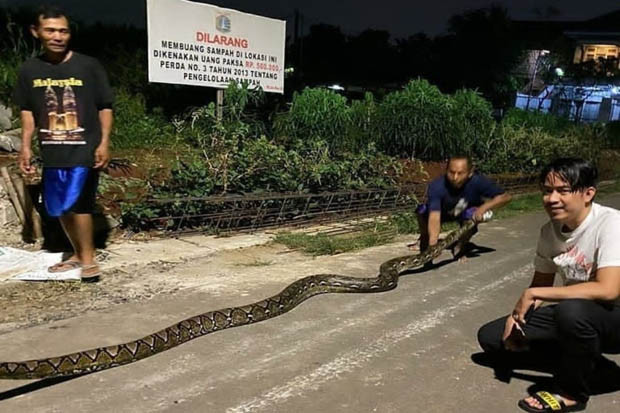 Warga Meruya Utara Temukan...